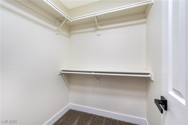 spacious closet featuring carpet