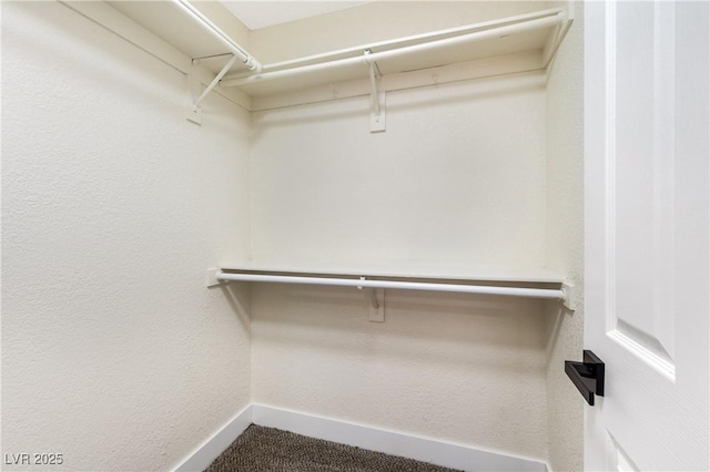 spacious closet featuring carpet