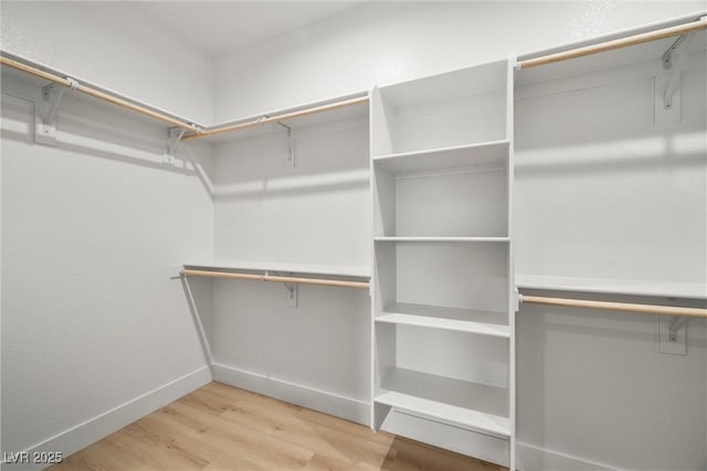 walk in closet featuring wood finished floors