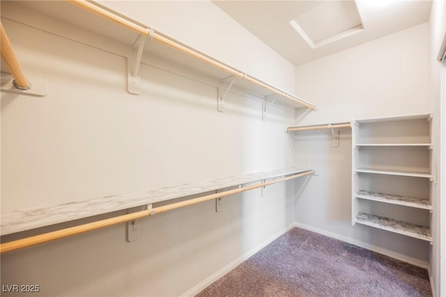 walk in closet featuring attic access and dark carpet