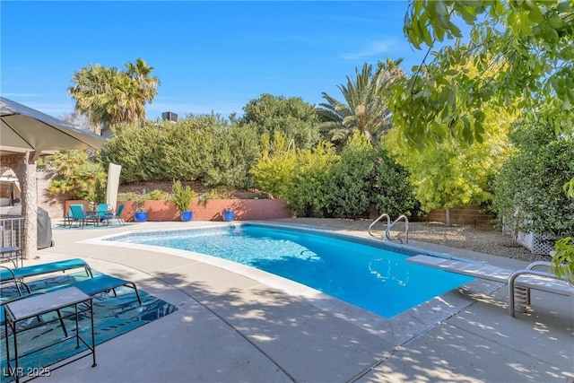 view of swimming pool with a fenced backyard, a fenced in pool, and a patio