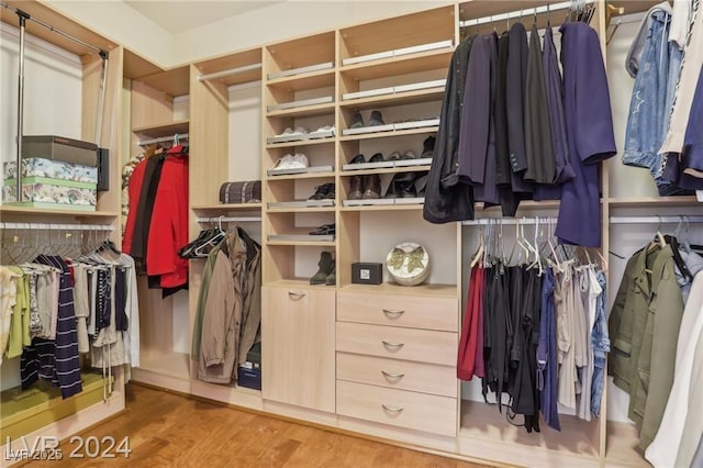 walk in closet featuring wood finished floors