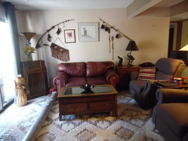 living room featuring a textured ceiling