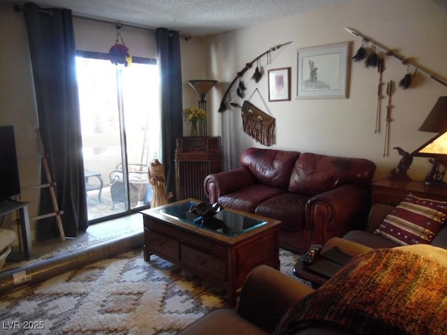 living area with a textured ceiling