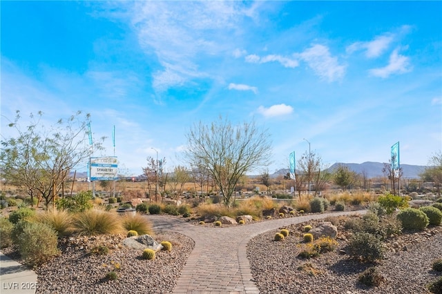 view of community featuring decorative driveway and a mountain view