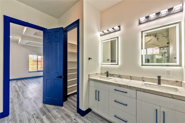 bathroom featuring a walk in closet, a sink, and wood finished floors