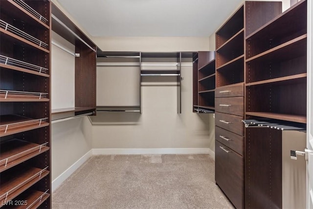 spacious closet with light colored carpet