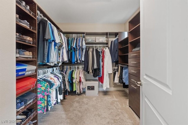 spacious closet featuring light carpet