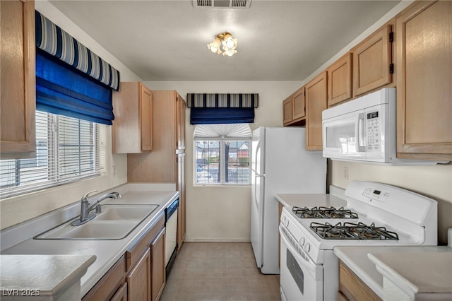 kitchen with light floors, light countertops, visible vents, a sink, and white appliances