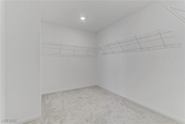 spacious closet featuring carpet flooring