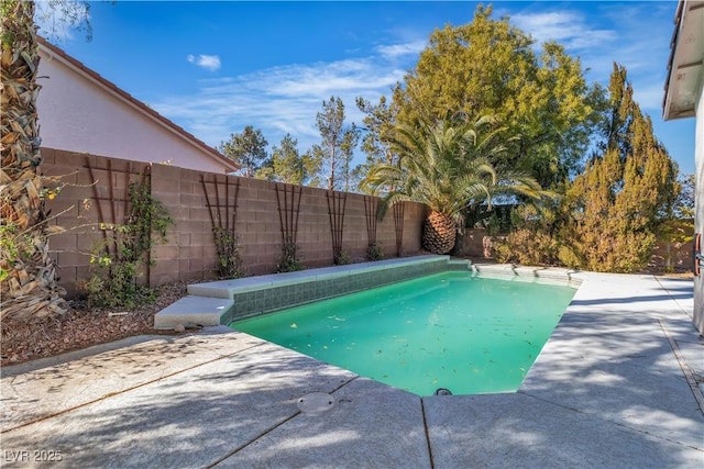 view of pool with a patio area, a fenced backyard, and a fenced in pool