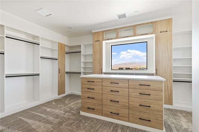 6383 Horse Dr, Las Vegas, NV 89131 - photo 31