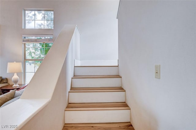 staircase featuring wood finished floors