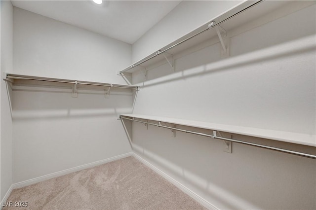 walk in closet with carpet flooring