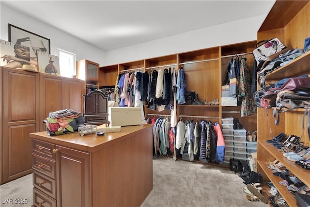 walk in closet with light colored carpet