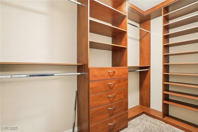 view of walk in closet