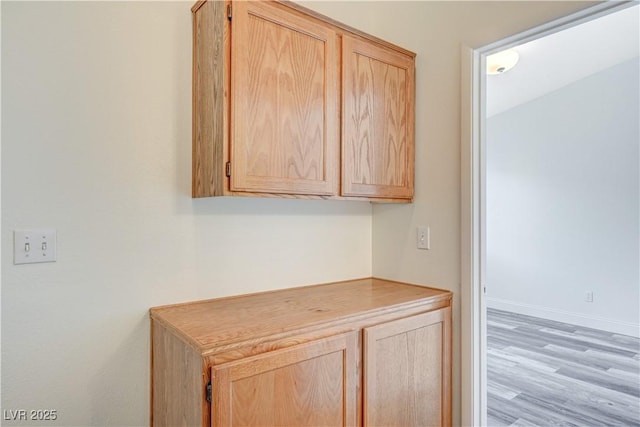 details with baseboards and wood finished floors