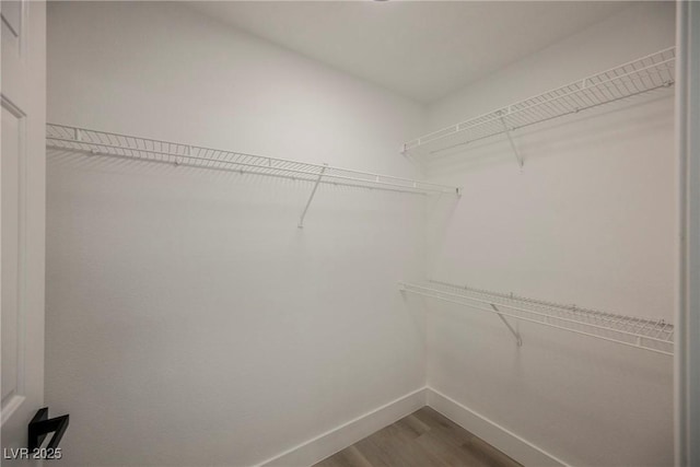 walk in closet with wood finished floors