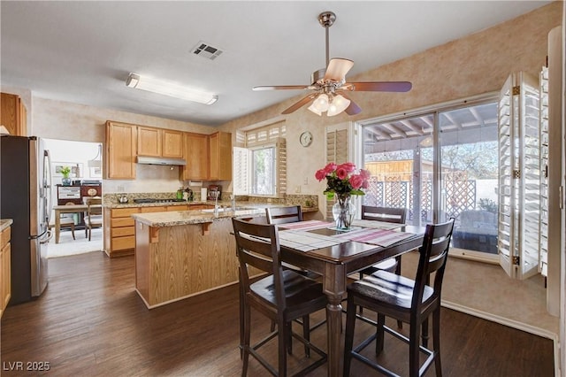 kitchen with dark wood-style floors, stainless steel appliances, visible vents, a sink, and under cabinet range hood