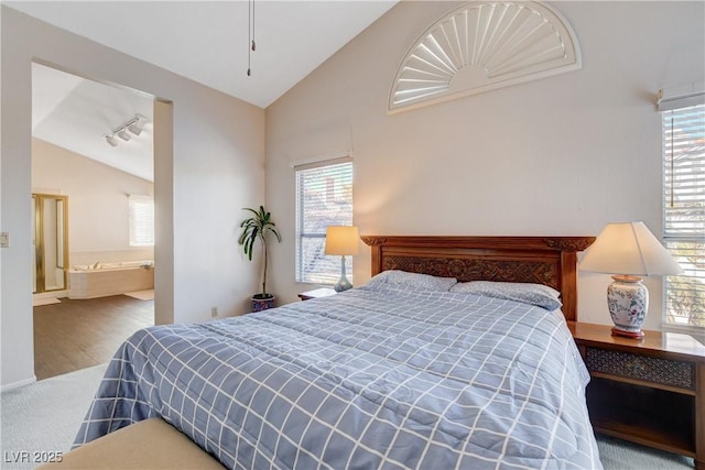 bedroom featuring lofted ceiling, wood finished floors, and rail lighting