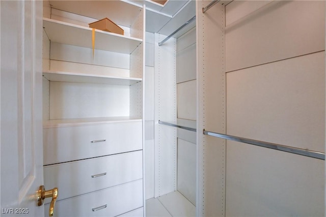 view of spacious closet