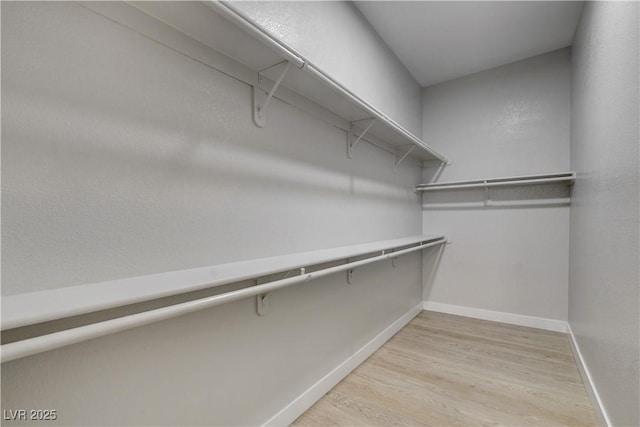 spacious closet featuring light wood-type flooring