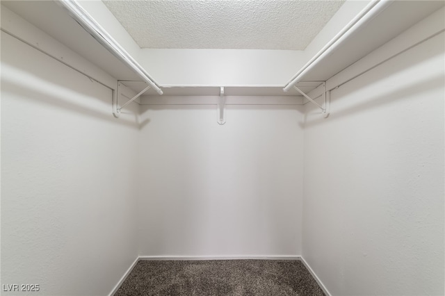 2667 Aracatuba Ave, Las Vegas, NV 89121 - spacious closet with carpet