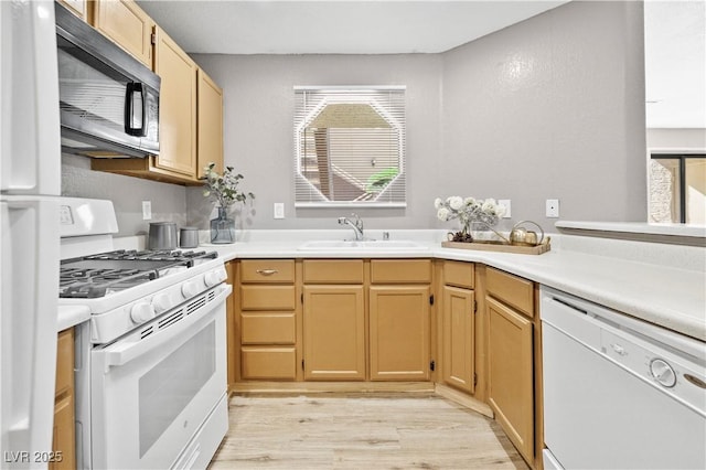 kitchen featuring white appliances, light countertops, a sink, and light wood finished floors