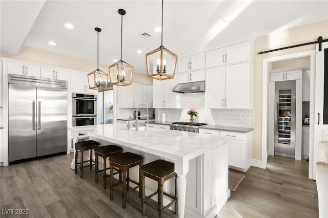 kitchen with under cabinet range hood, a barn door, decorative backsplash, appliances with stainless steel finishes, and a sink