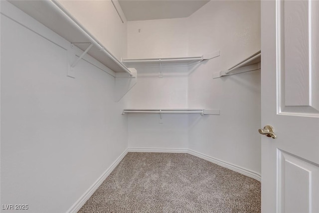 spacious closet featuring light colored carpet