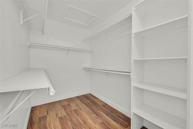 spacious closet with attic access and wood finished floors