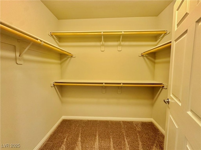 walk in closet with carpet