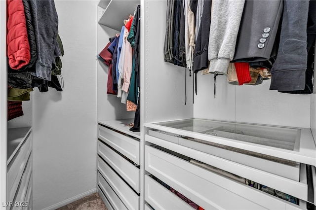 walk in closet with carpet floors