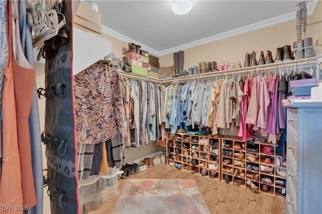 walk in closet with wood finished floors