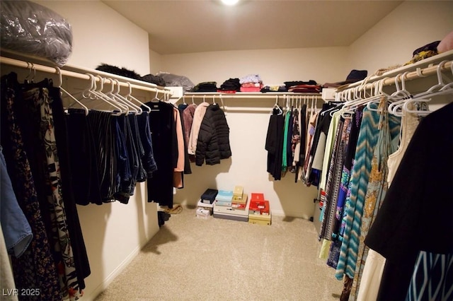 spacious closet with carpet flooring