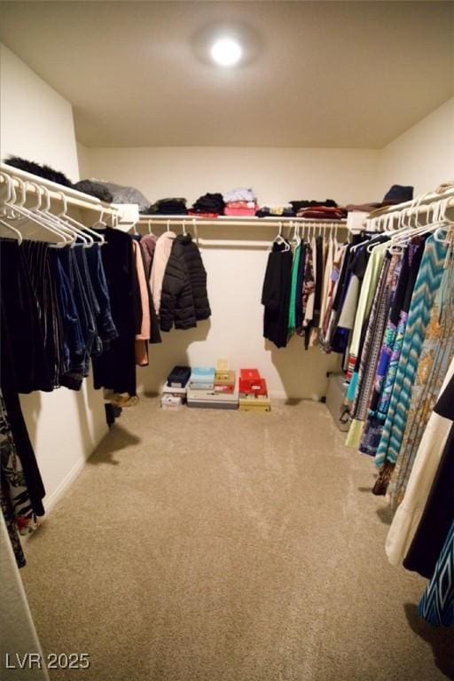 walk in closet with carpet