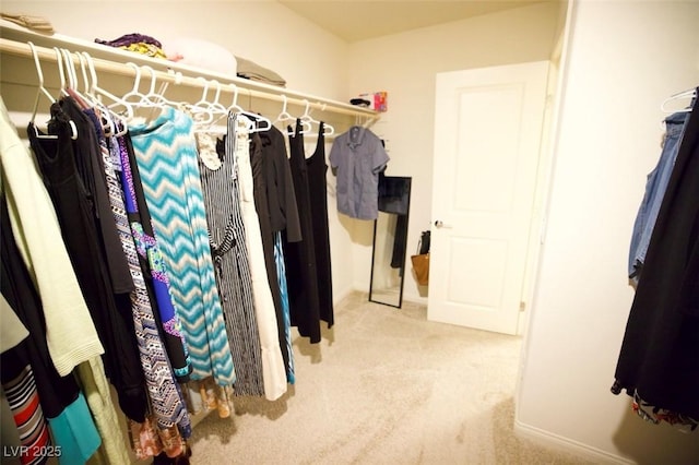 spacious closet featuring light colored carpet