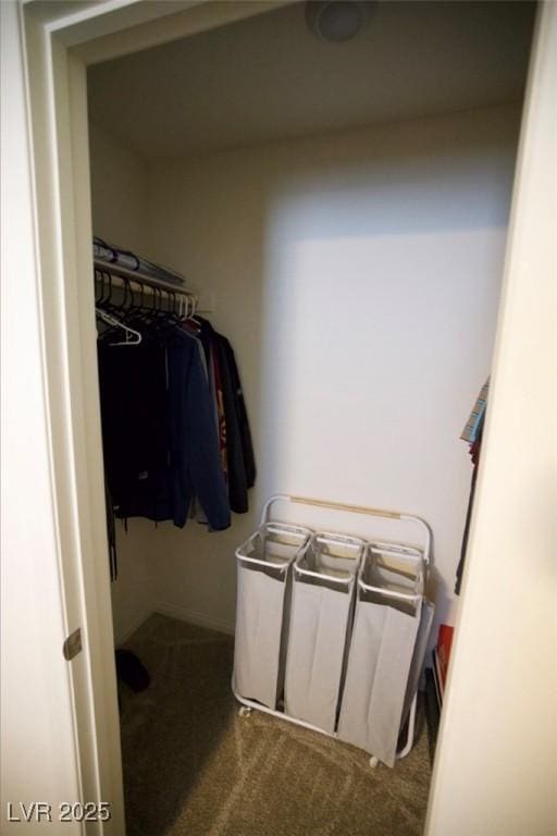 spacious closet with carpet floors