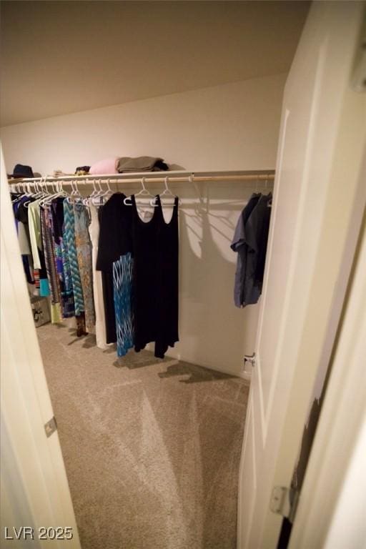 spacious closet with carpet