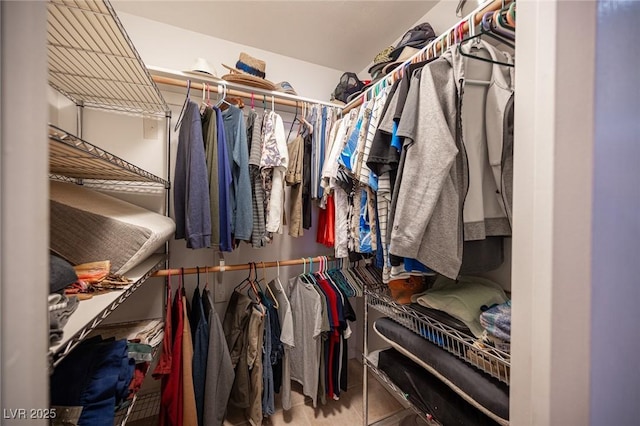 view of spacious closet