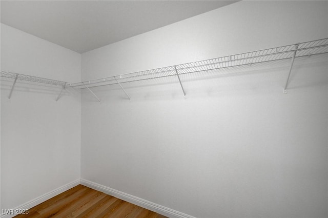 walk in closet with light wood-type flooring