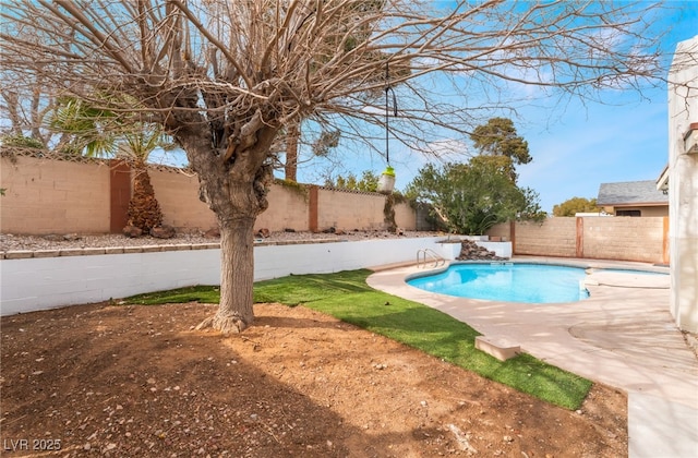 view of pool with a patio, a fenced backyard, and a fenced in pool