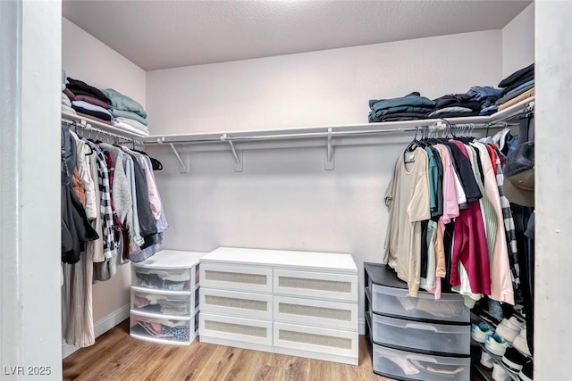 walk in closet with light wood finished floors