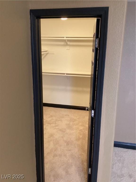 view of closet