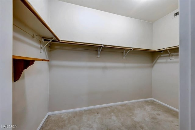 spacious closet featuring light carpet