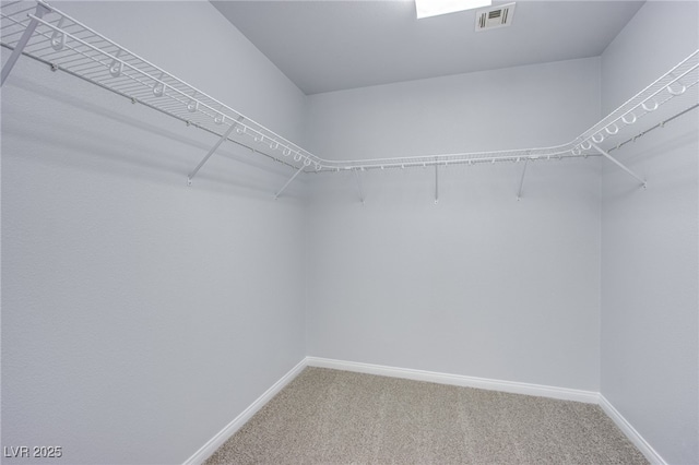 spacious closet with carpet and visible vents