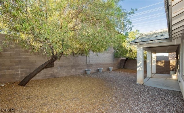 view of yard with a patio area and a fenced backyard