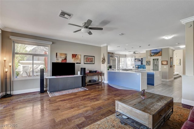 living room with ornamental molding, visible vents, ceiling fan, and wood finished floors