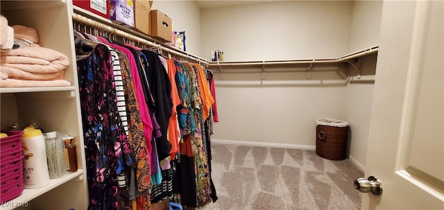 7910 Shimmery St, North Las Vegas, NV 89084 - walk in closet featuring carpet