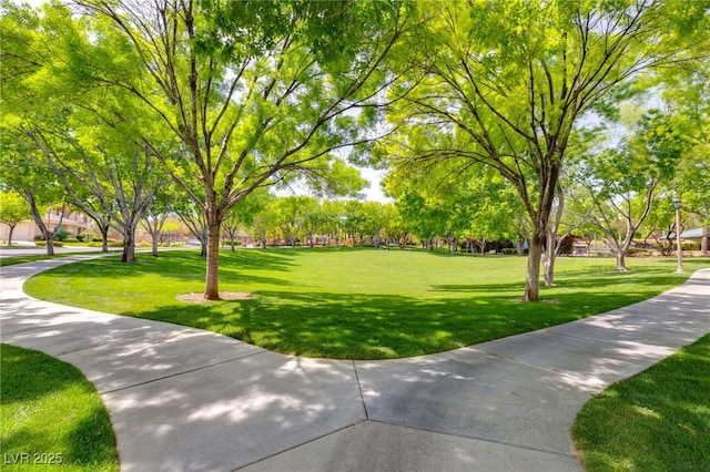 view of property's community with a yard